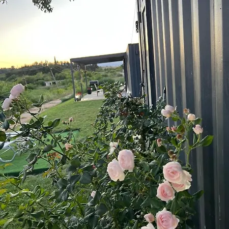 Homerevolution Marikosztenovo