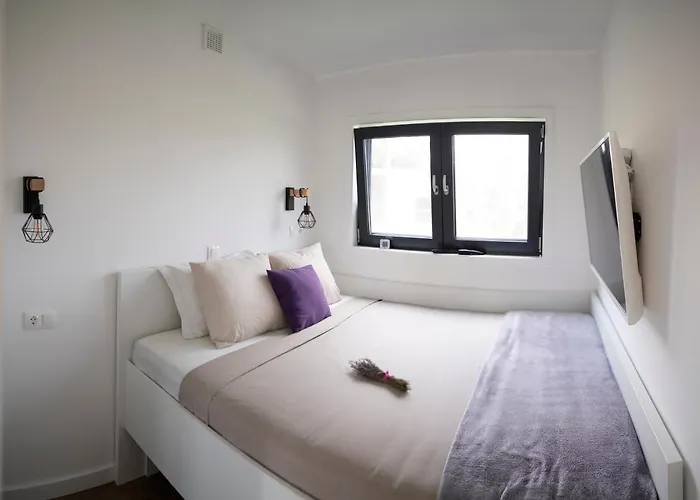 别墅 Homerevolution *