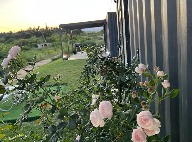 Homerevolution Marikostenovo